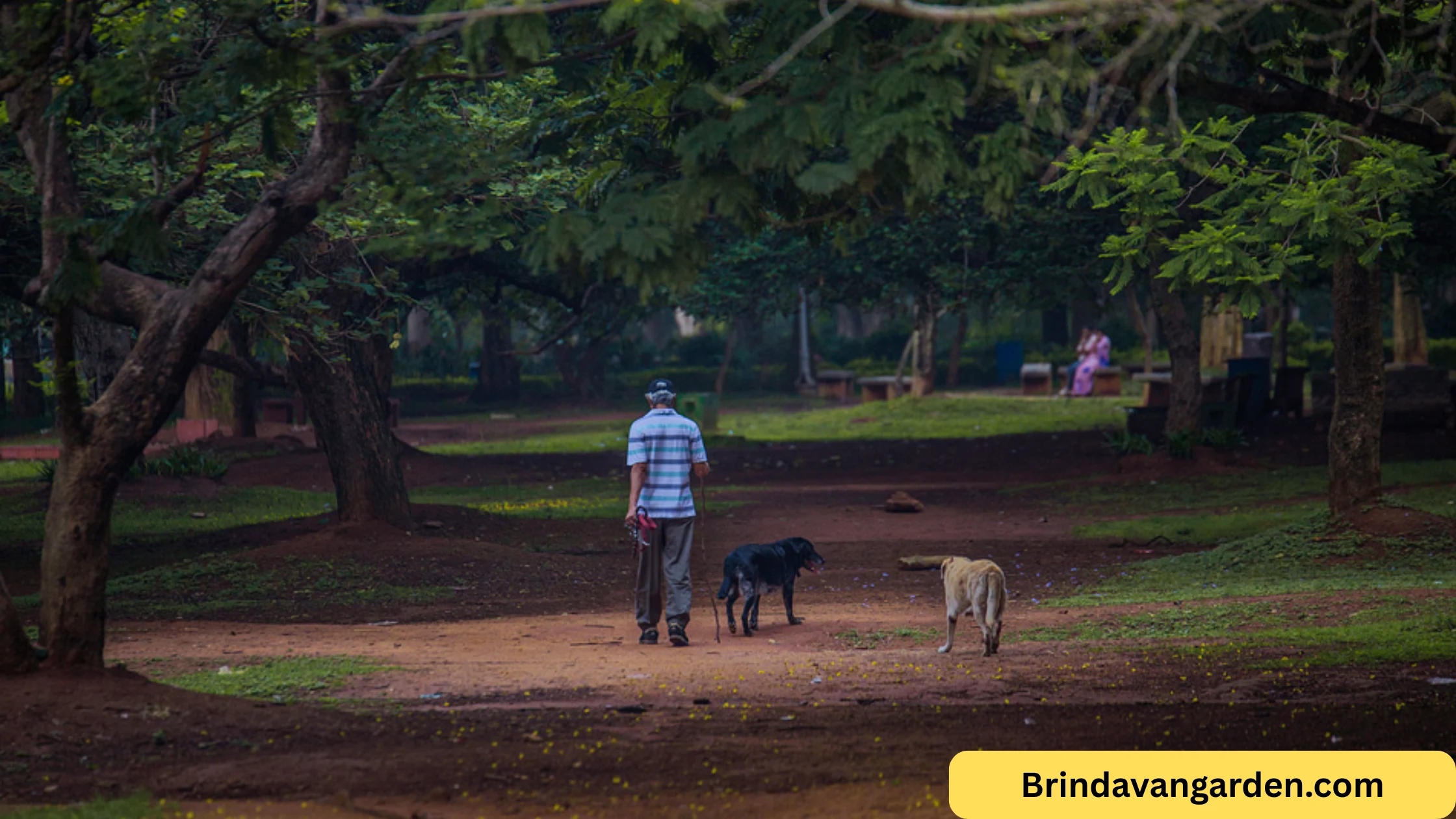 cubbon park timings