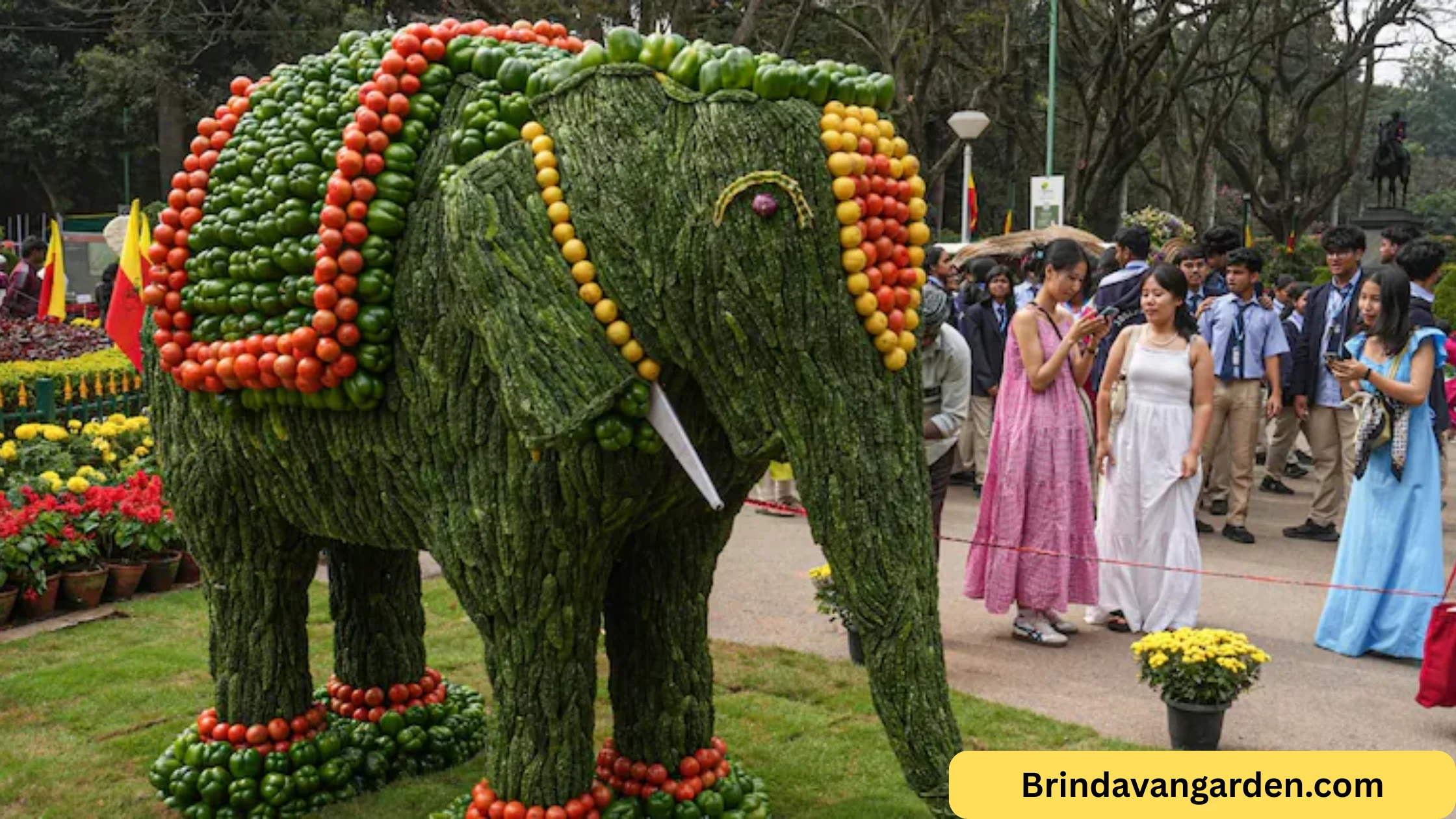 cubbon park flower show