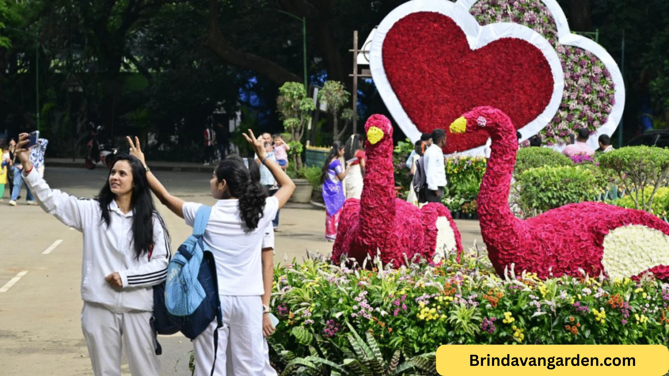 cubbon park flower show 2026 entrance