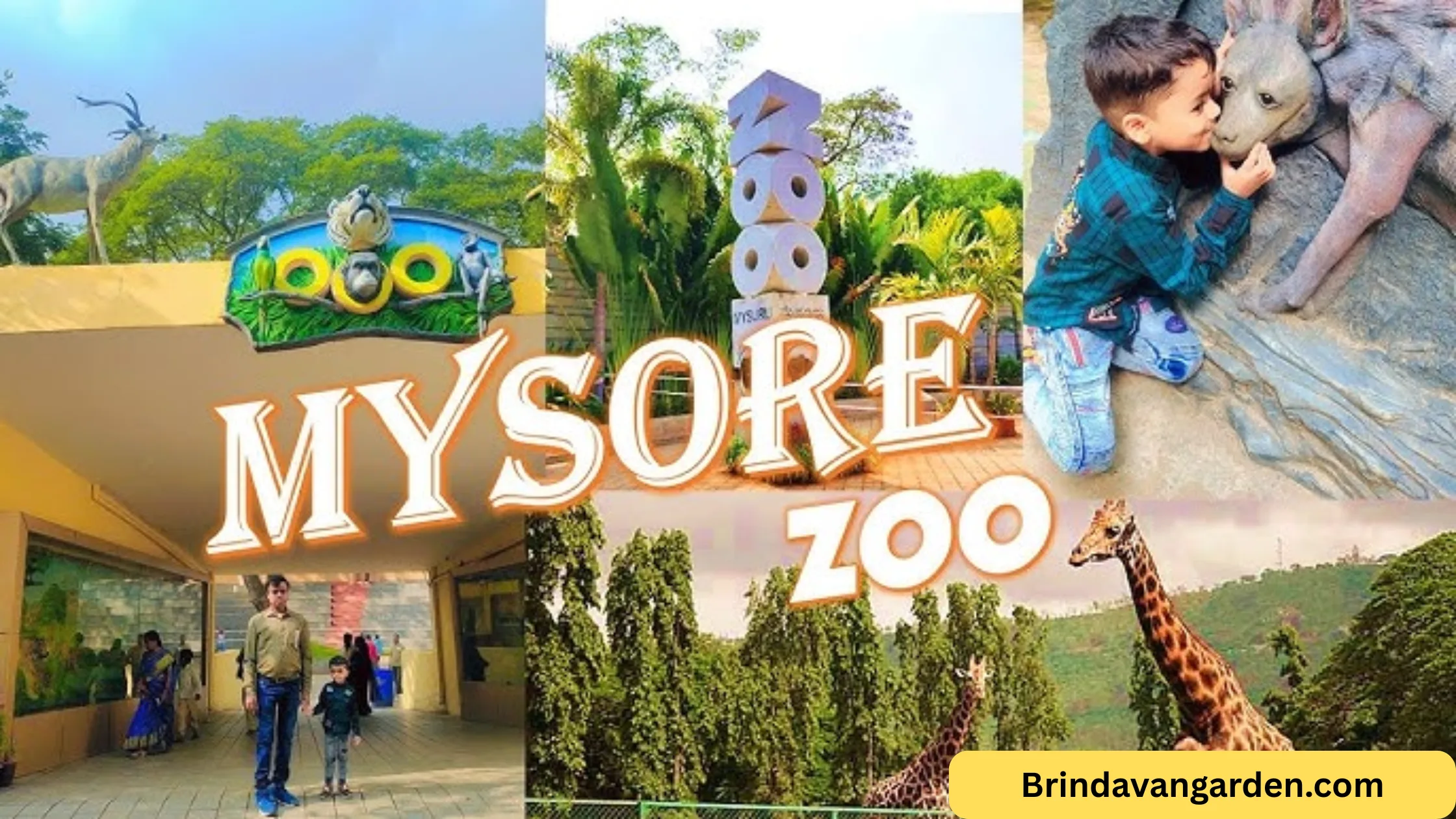 mysore zoo timings and ticket price