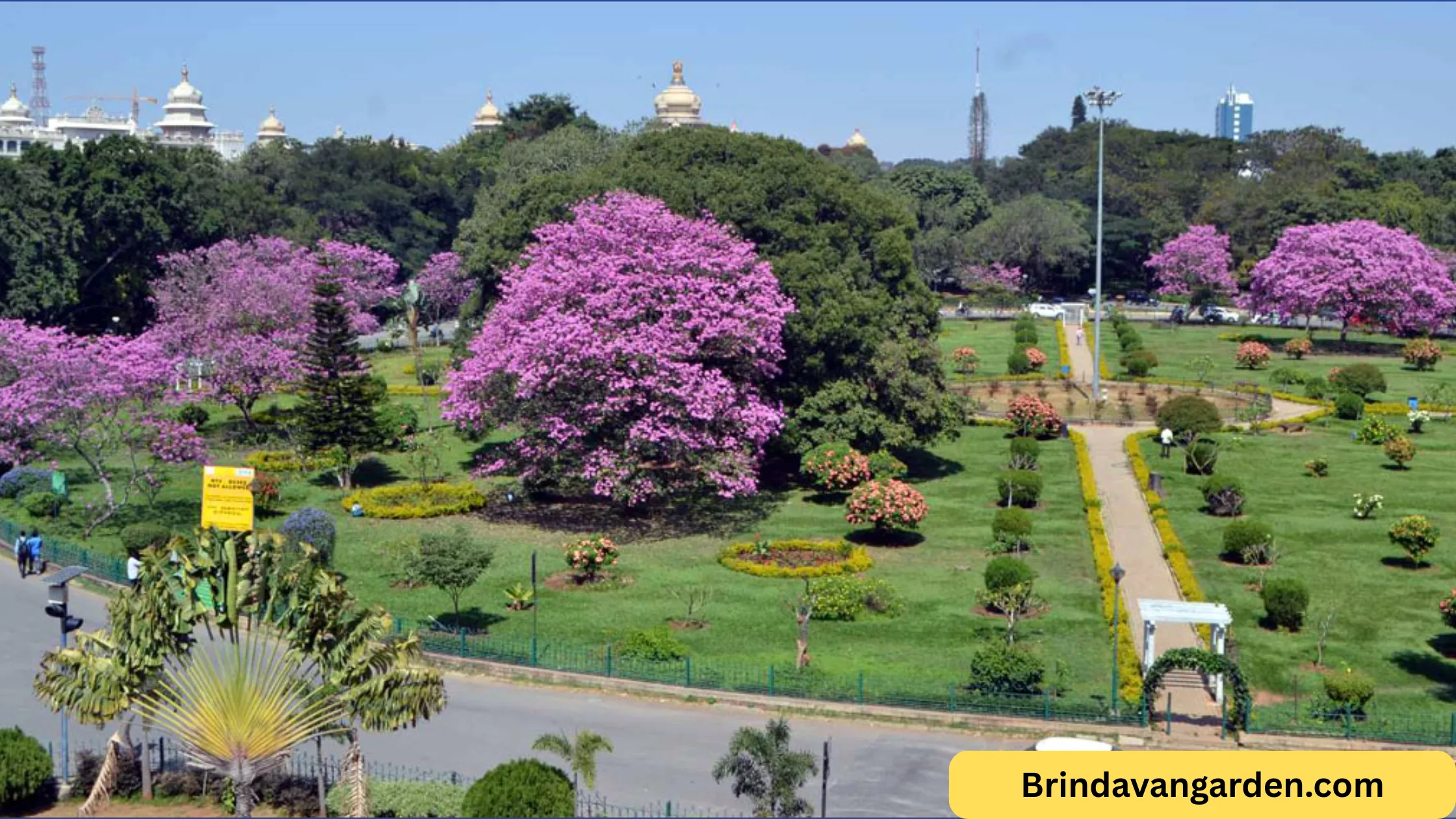 brindavan gardens distance from mysore palace