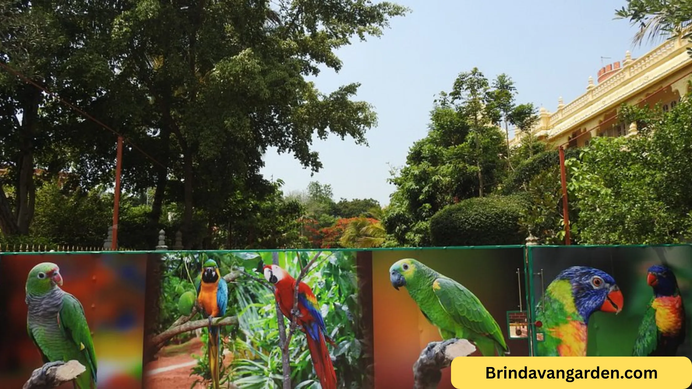 shuka vana mysore timings