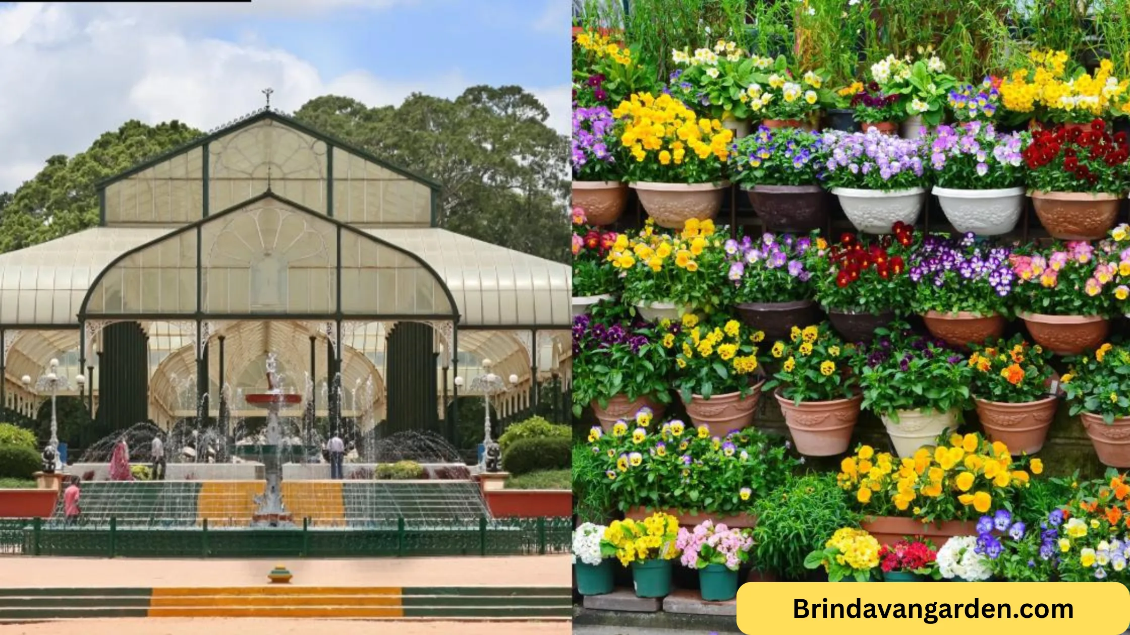 lalbagh nursery timings today