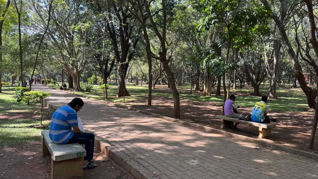 Cubbon Park