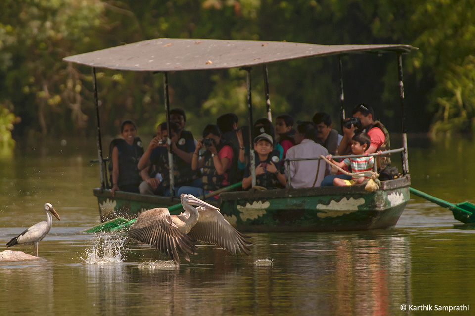 Ranganathittu Bird Sanctuary