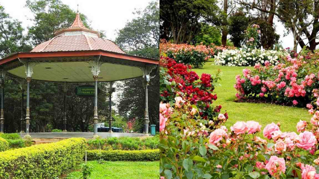 Cubbon Park FLOWER SHOW