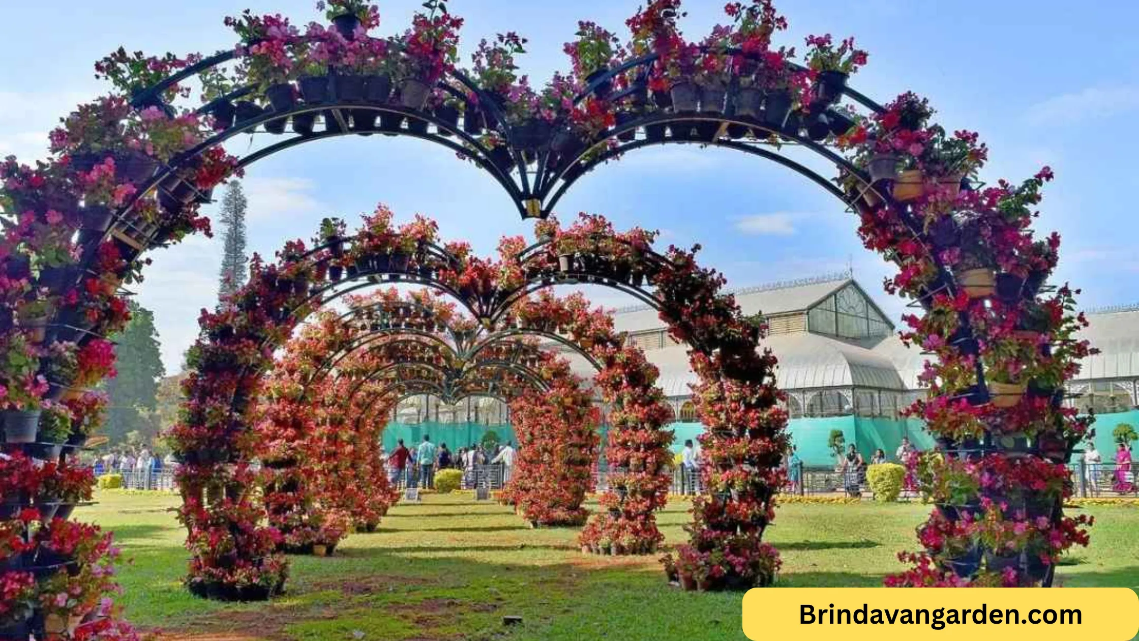 when will flower show start in lalbagh
