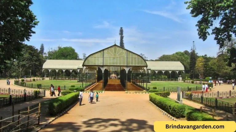 Lalbagh Palace Tickets Price, Timings & Booking Guide