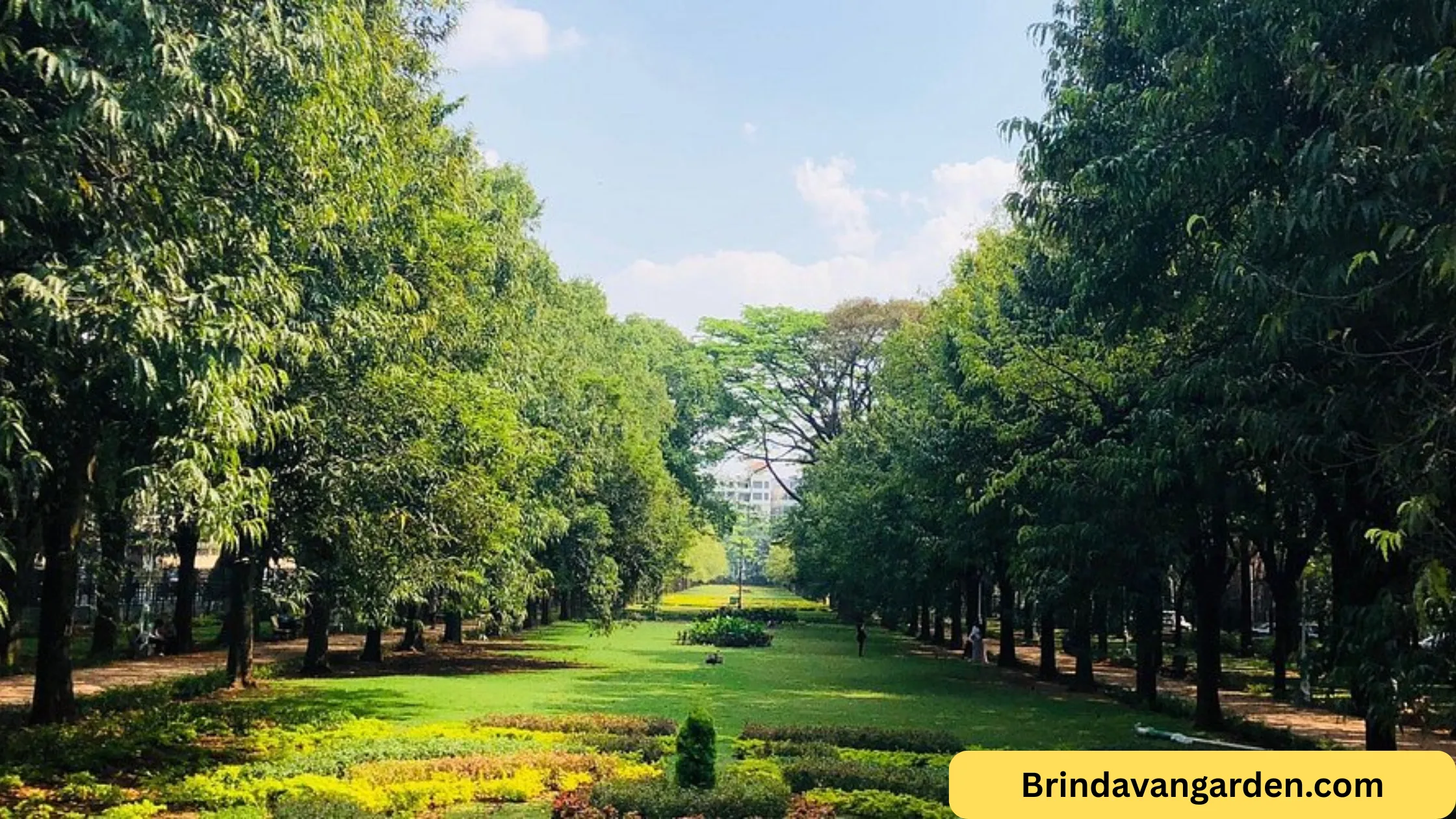 visvesvaraya museum to cubbon park distance