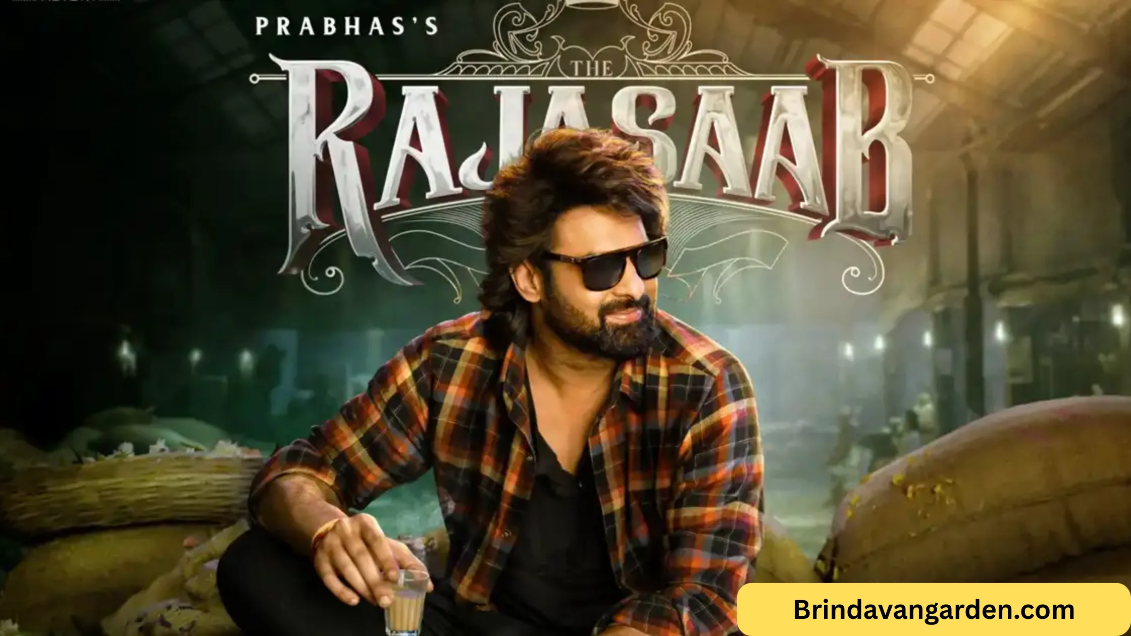 Rajasaab Review