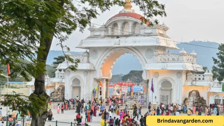 Is Mysore Exhibition Open Today? Timings & Status Live