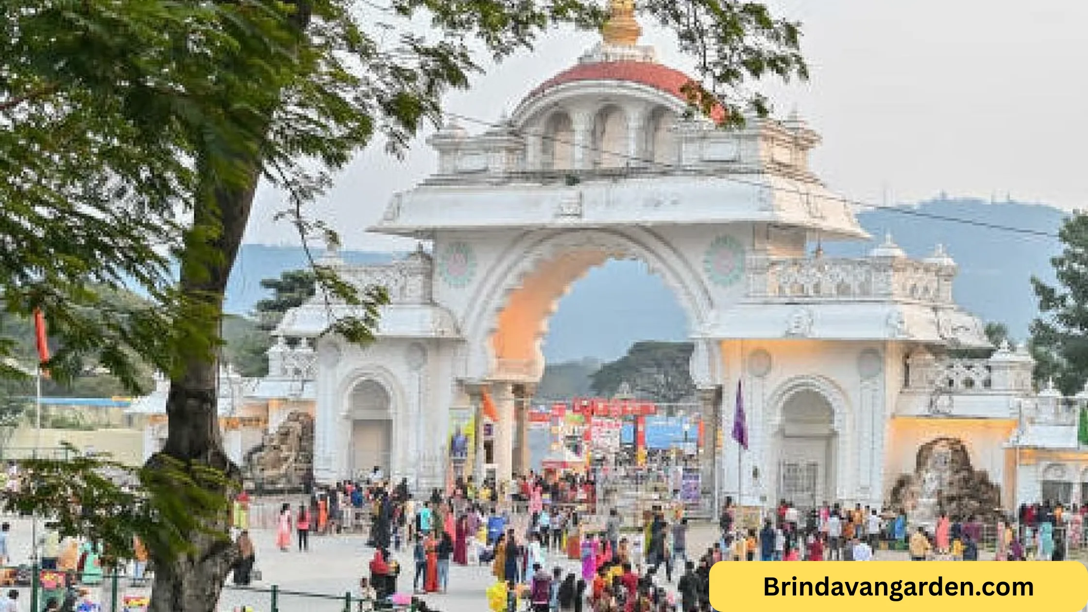 is mysore exhibition open today