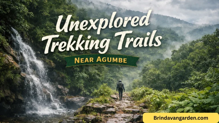 unexplored trekking trails near agumbe