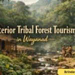 interior tribal forest tourism in Wayanad