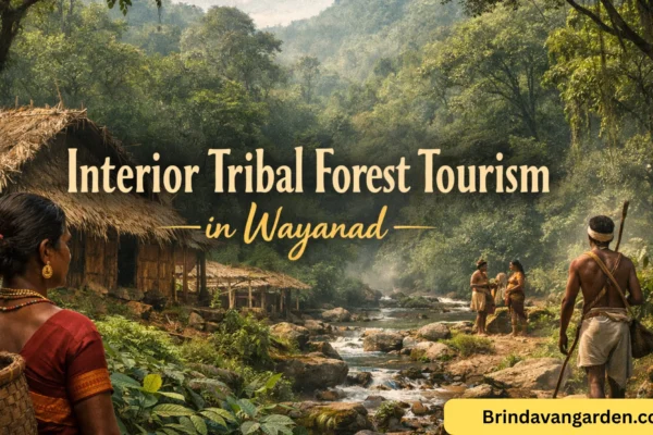 interior tribal forest tourism in Wayanad