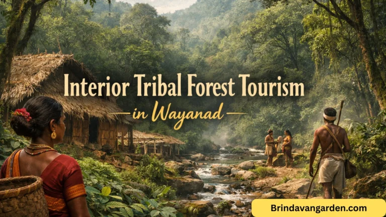 Interior Tribal Forest Tourism in Wayanad: Travel Guide